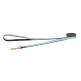 Talutushihna Urban Classic Lead 180cm