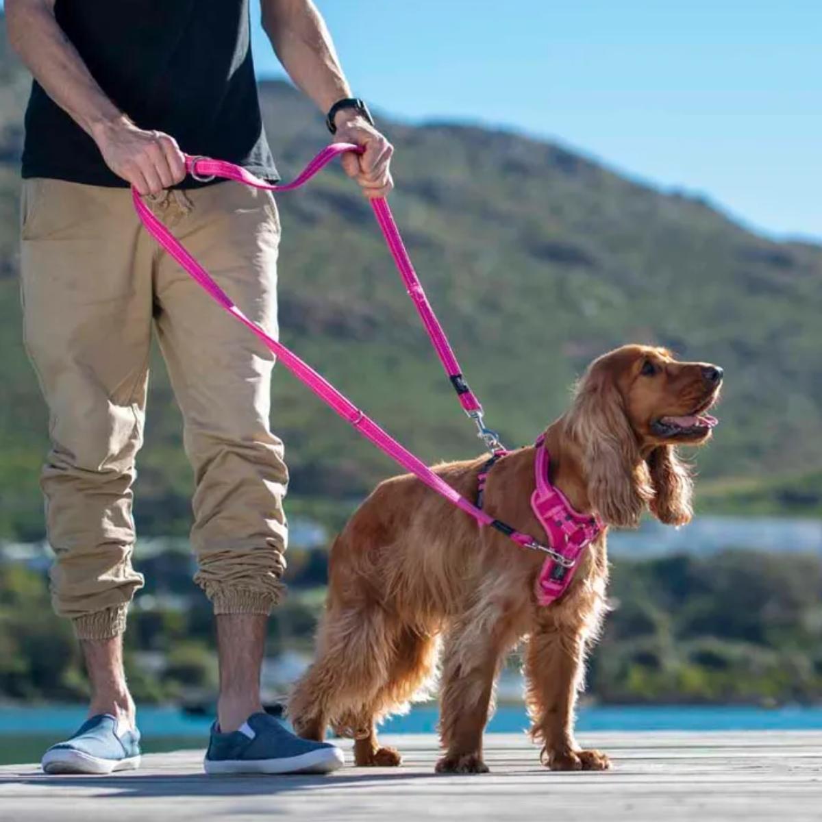Harness Utility Control