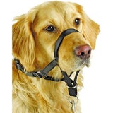 Vedonestopanta Master Control