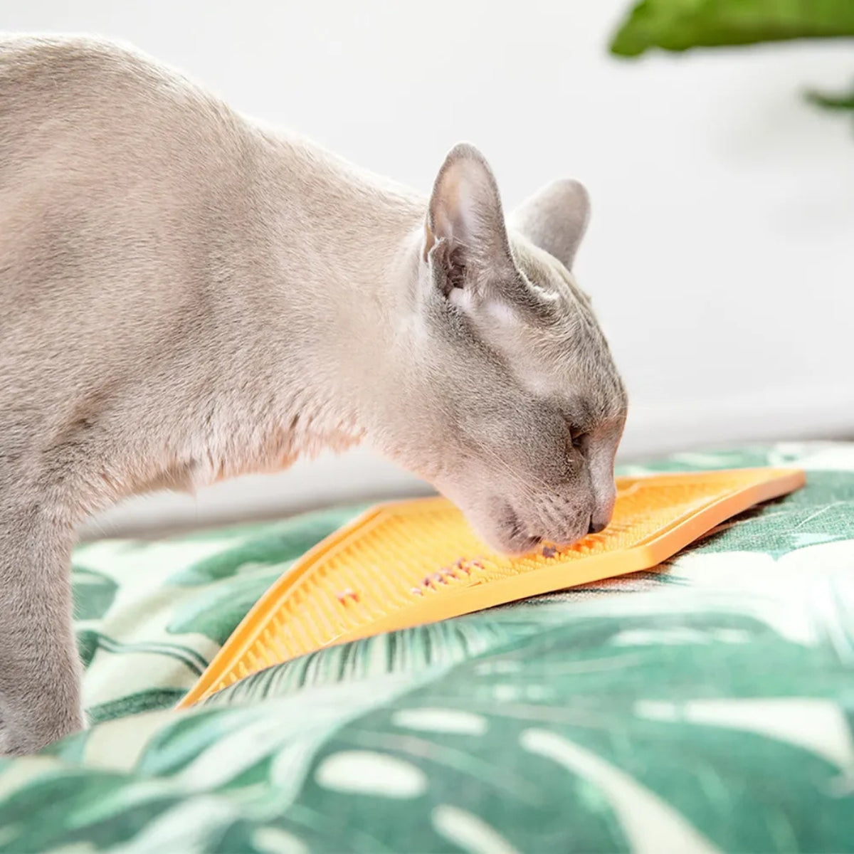 Aktivointimatto Soother