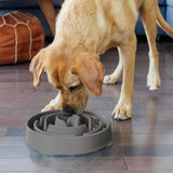 Ahmimisenestokuppi Fun Feeder Slo Bowl