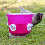 Kanojen Ruokinta-automaatti Bucket 12 L