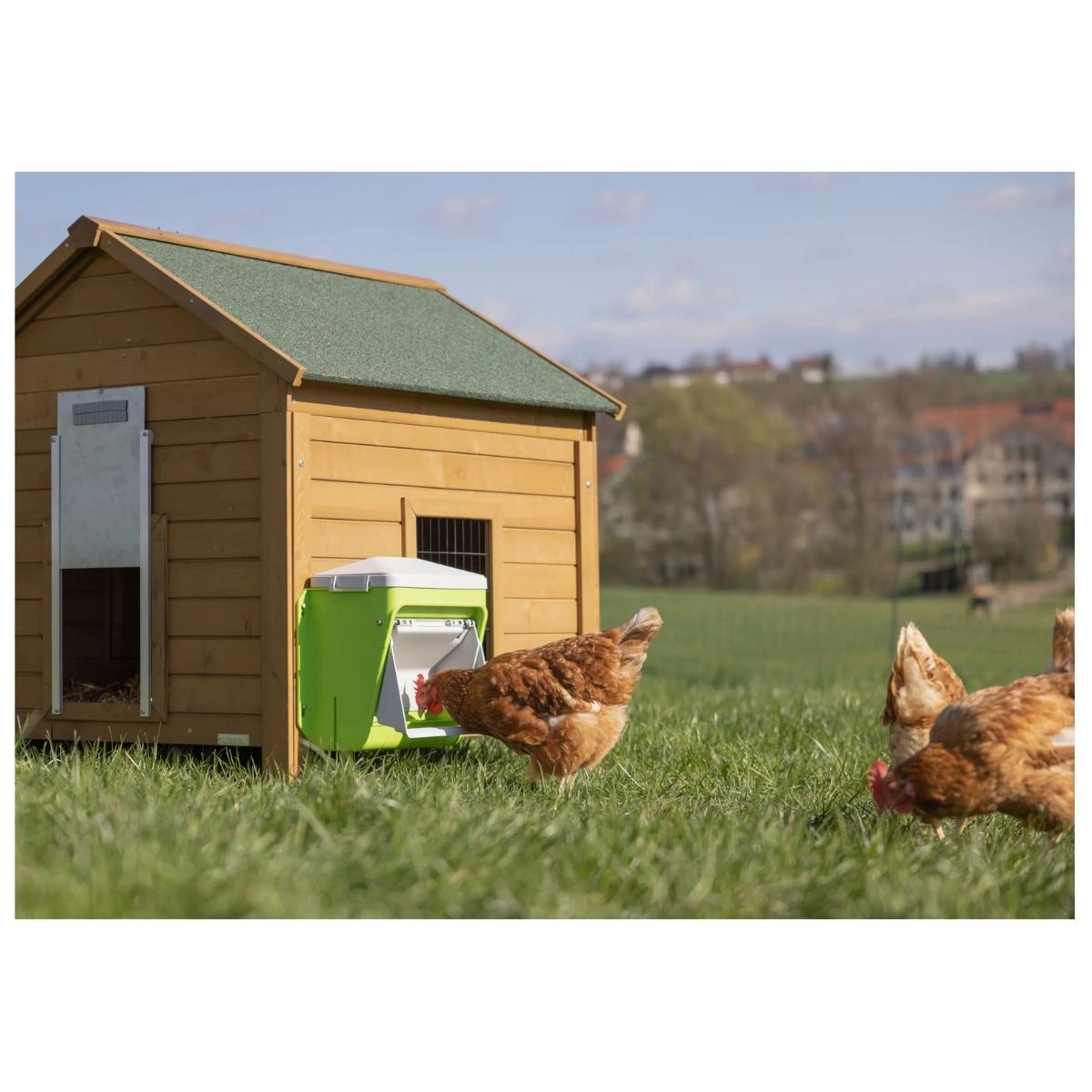 Ruoka-automaatti SmartCoop 7,5kg