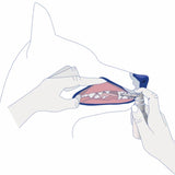 Hammassuihke Dental Spray 30ml