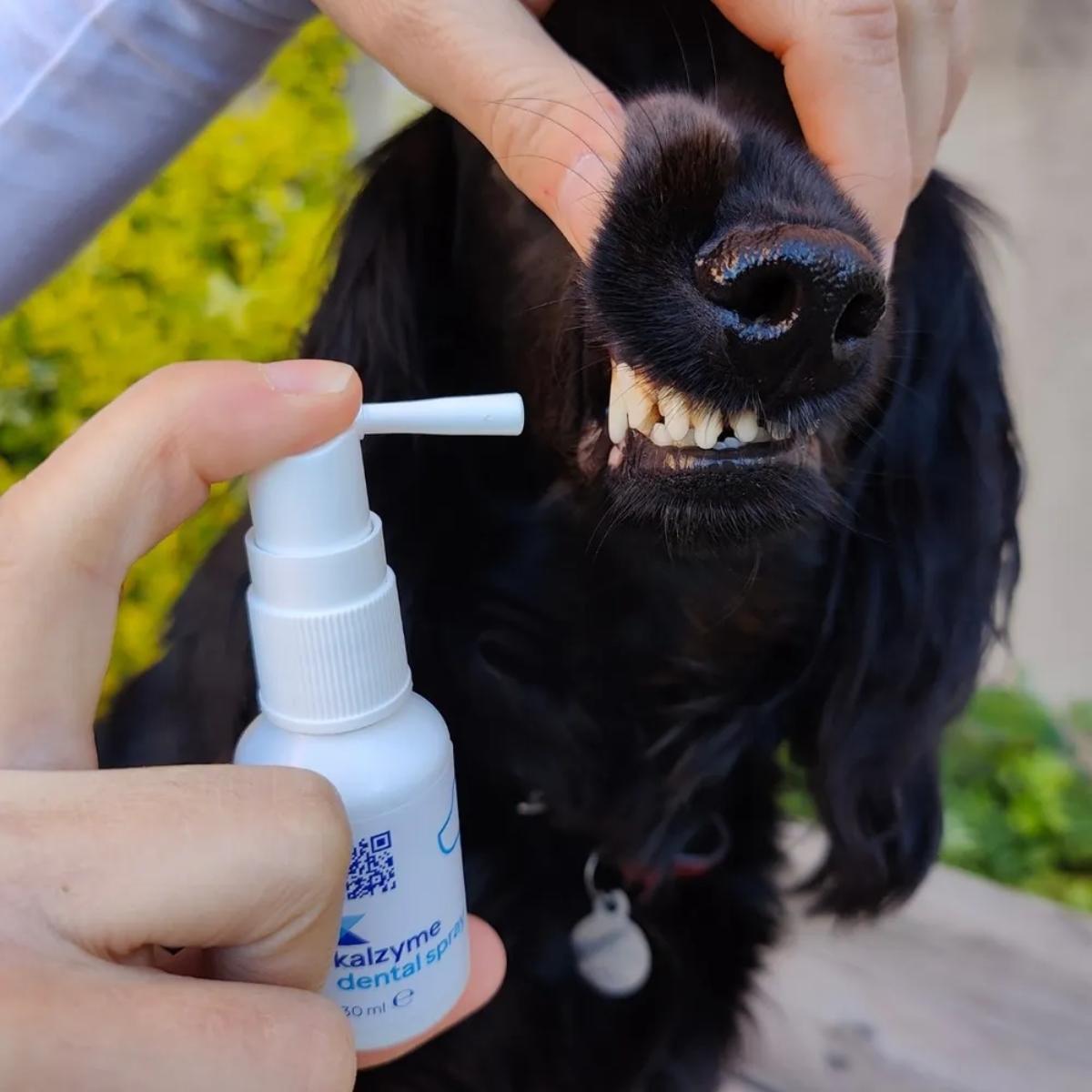 Hammassuihke Dental Spray 30ml