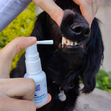 Hammassuihke Dental Spray 30ml