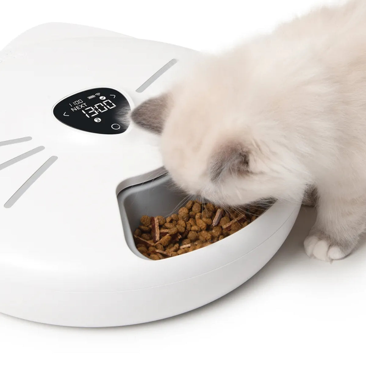 Ruokinta-Automaatti PIXI Smart 6-Meal