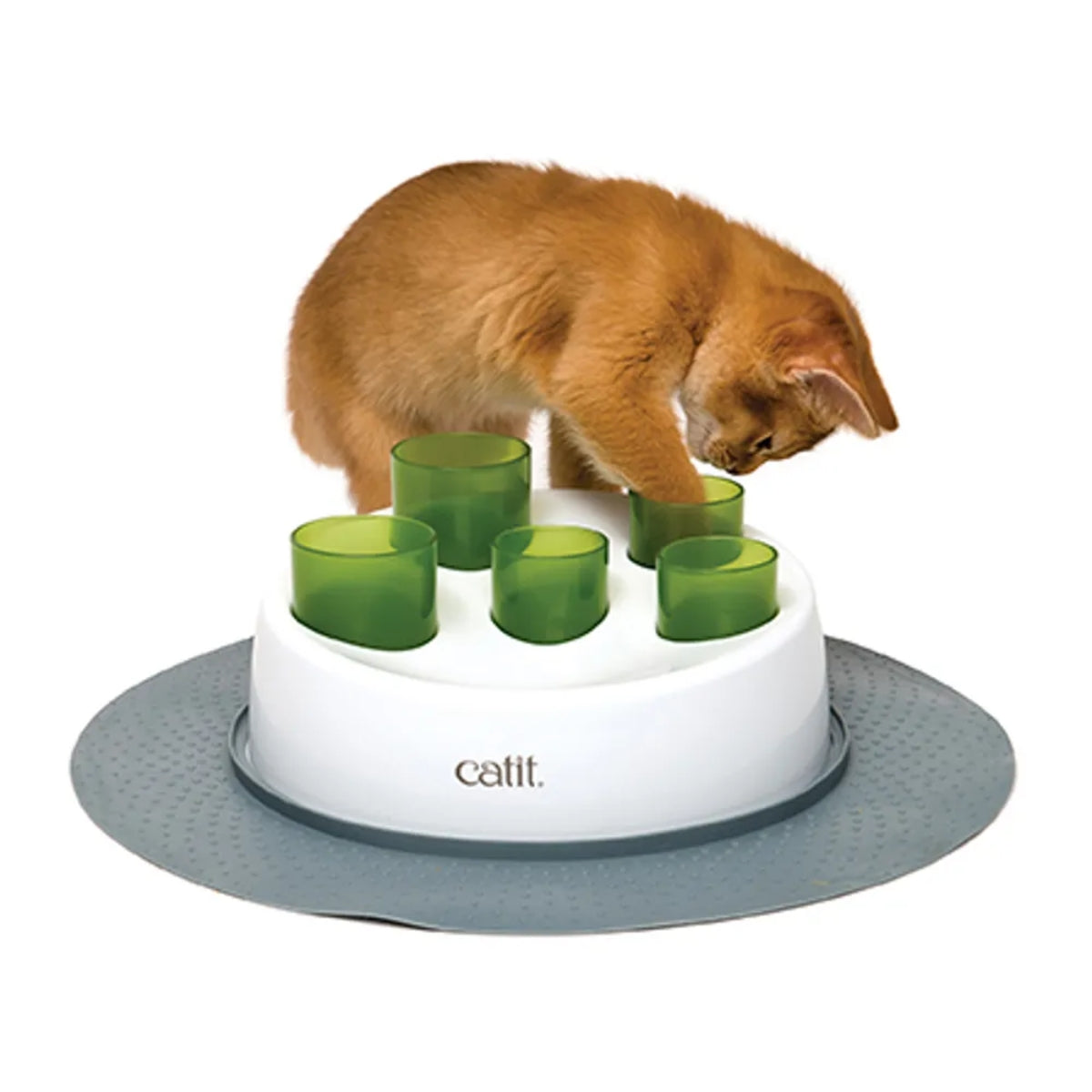 Aktivointilelu Senses 2.0 Digger