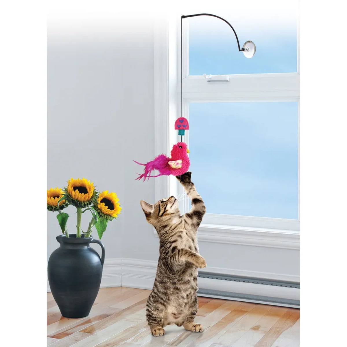 Onkilelu Window Teaser