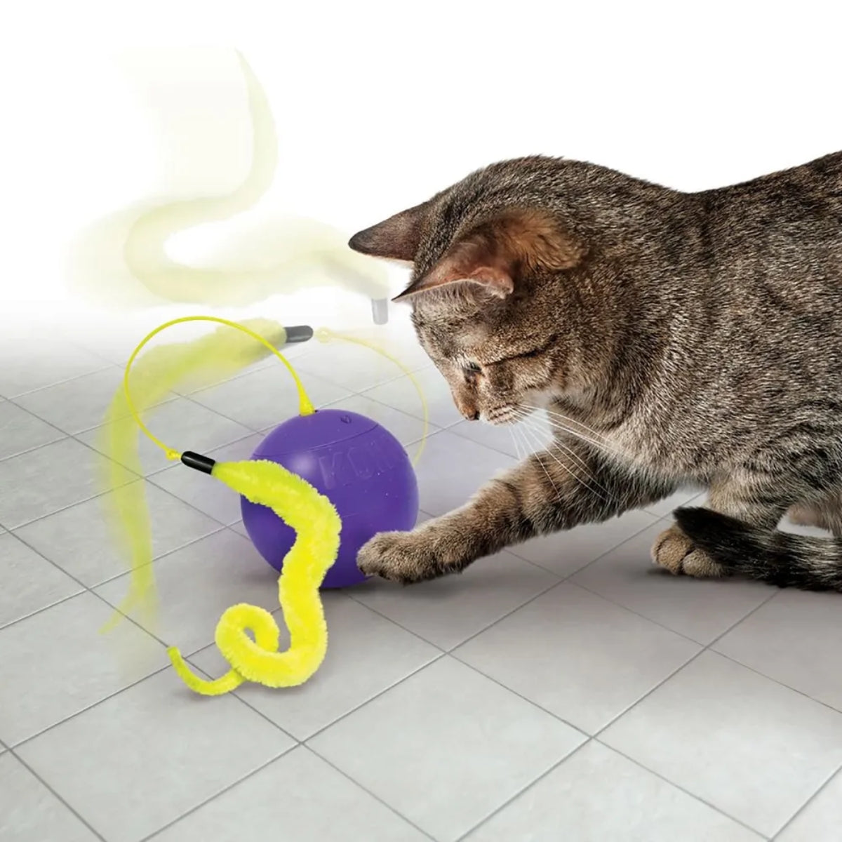 Aktivointilelu Whirlwind Purrsuit
