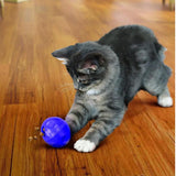 Aktivointipallo Dispensing Treat Ball
