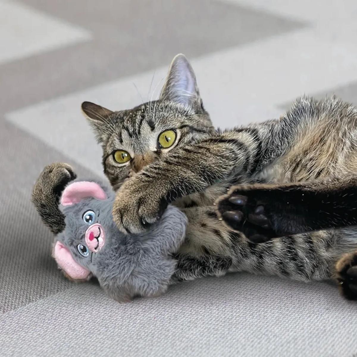 Cat Toy Snuzzles Mouse