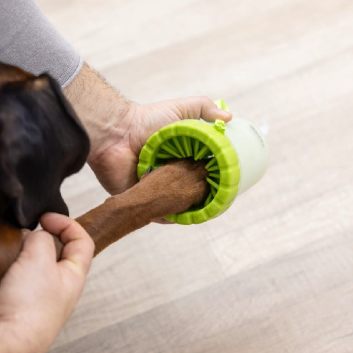 Tassunpuhdistin Paw Cleaner