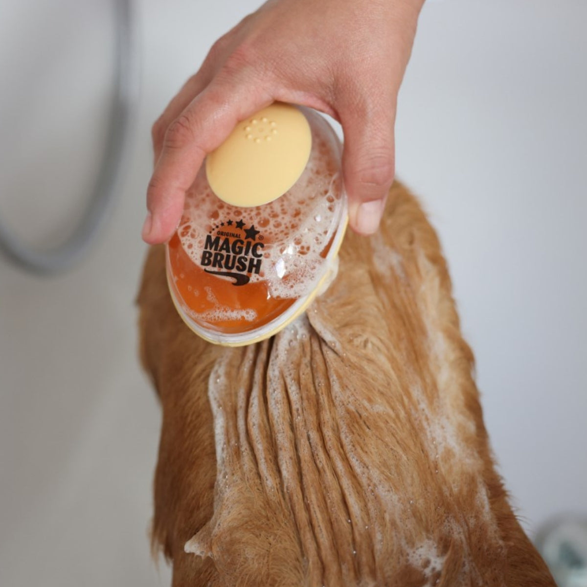 Pesuharja Bathing Brush