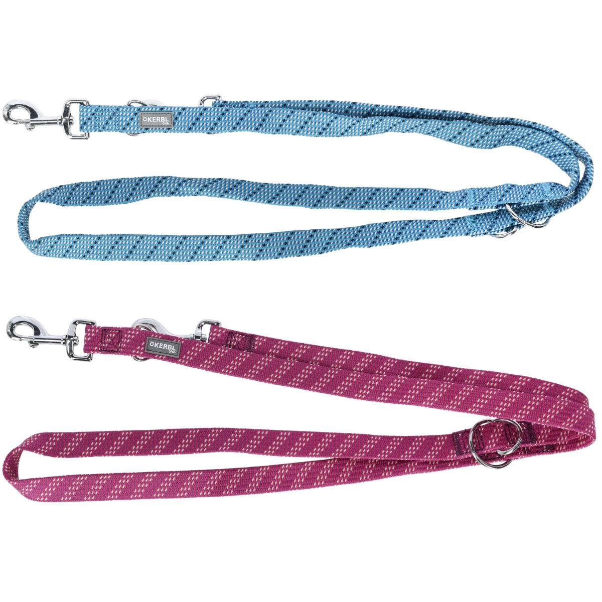 Training Leash Colorado