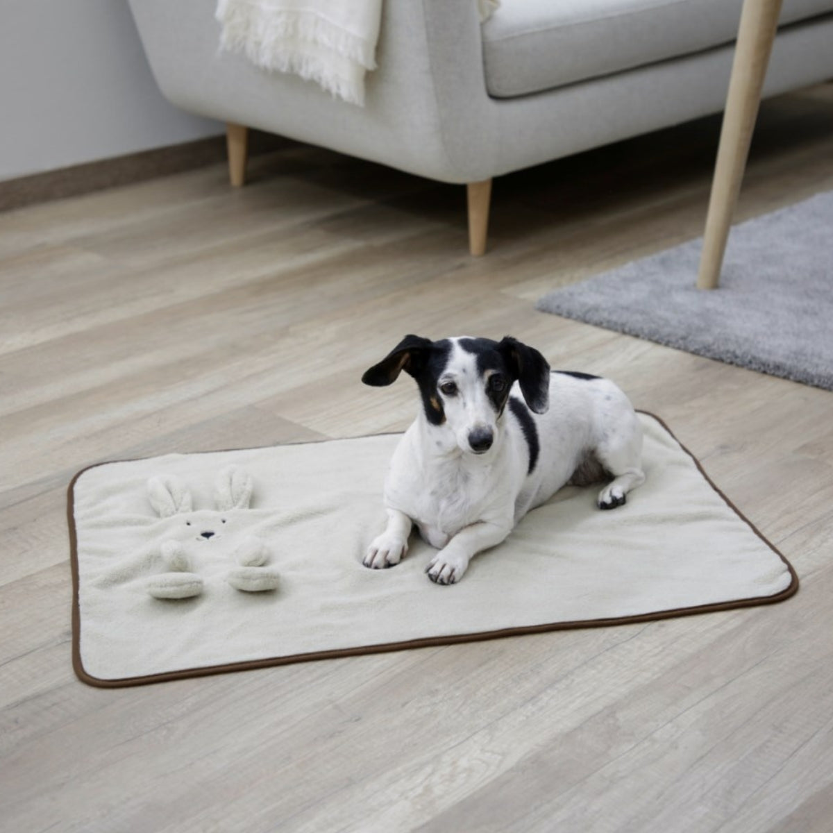 Fleeceviltti Puppy