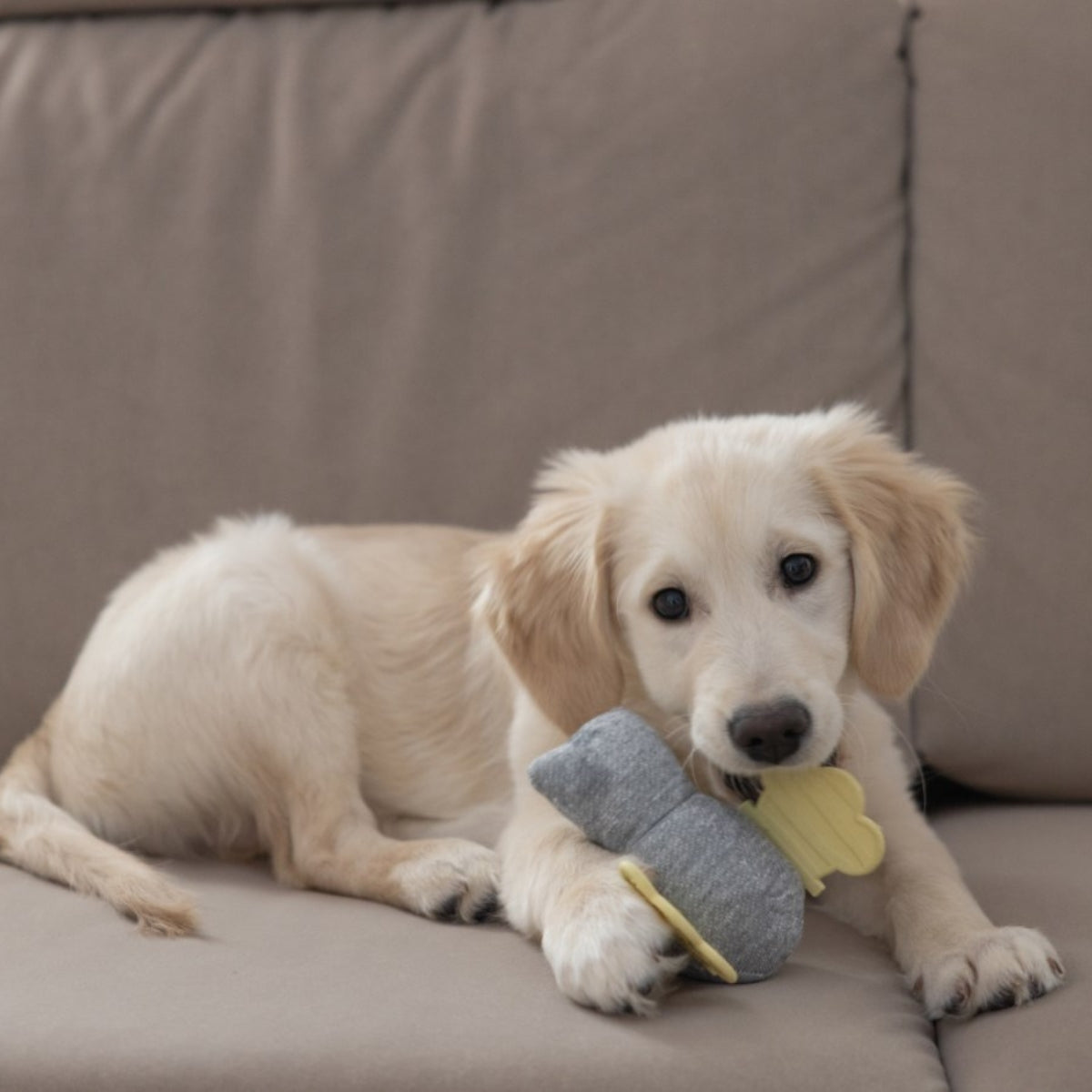 Pehmolelu Puppy Toy