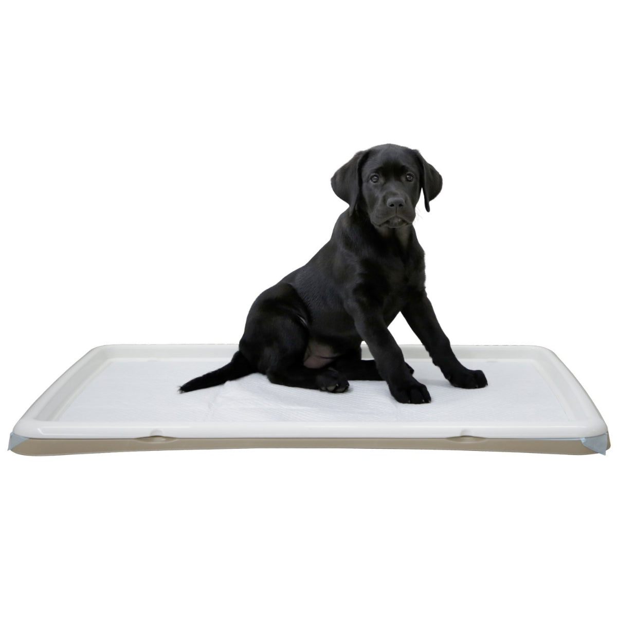Pentualusta Puppy Toilet XL