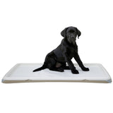 Pentualusta Puppy Toilet XL