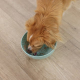 Aktivointikuppi Lick bowl