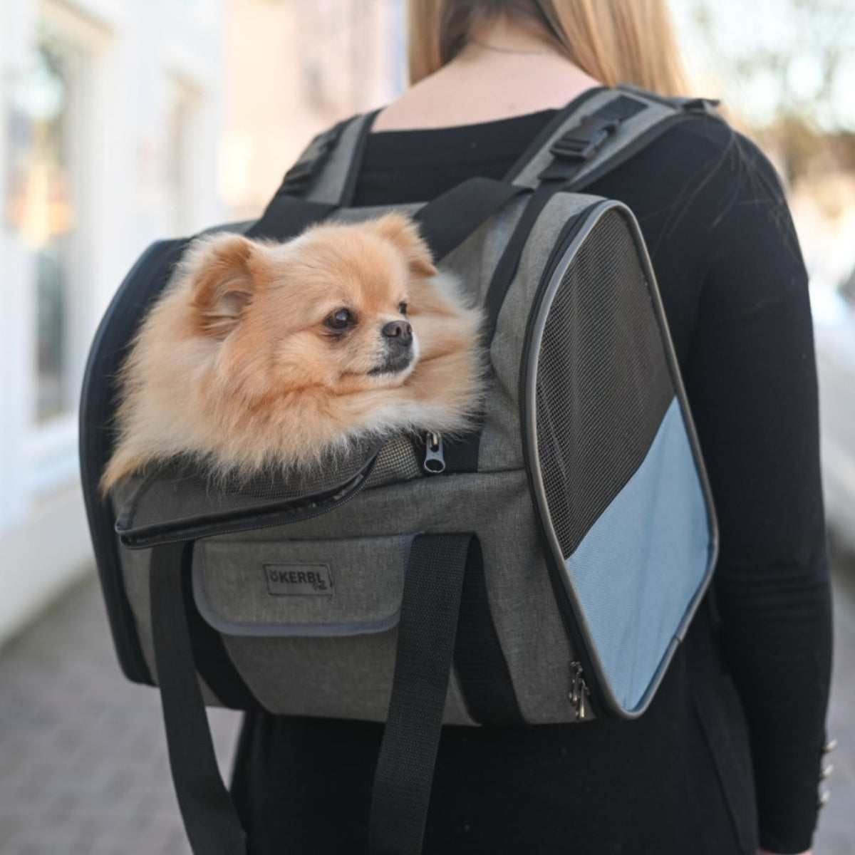 Kantolaukku/-Reppu Rucksack Vacation Blue