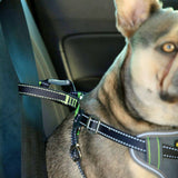 Turvavyövaljaat Safety Harness