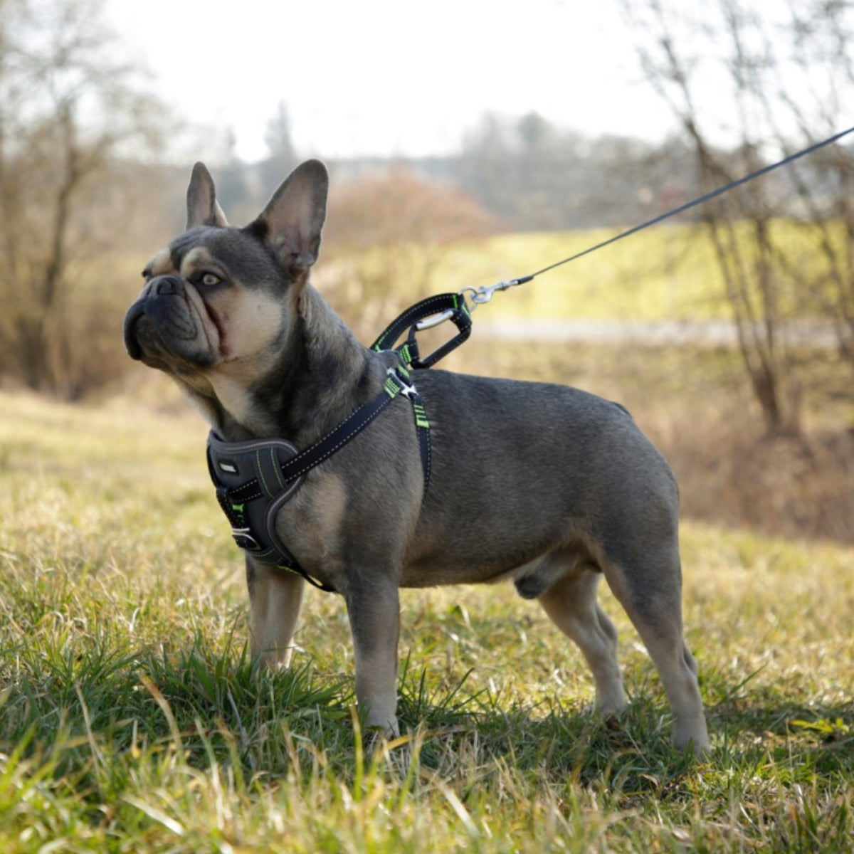 Turvavyövaljaat Safety Harness