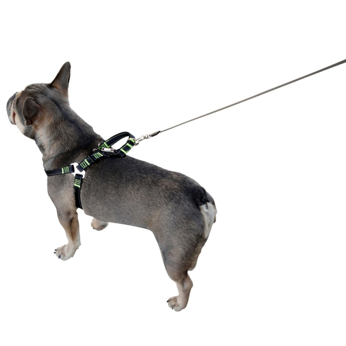 Turvavyövaljaat Safety Harness