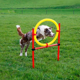 Agility Estesetti Complete 13 Osaa