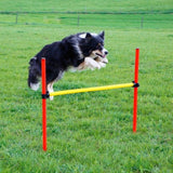 Agility Estesetti Complete 13 Osaa