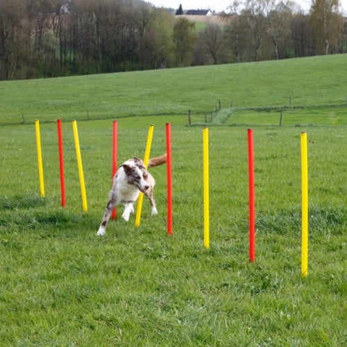 Agility Estesetti Complete 13 Osaa