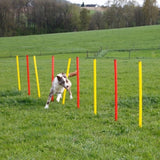 Agility Estesetti Complete 13 Osaa