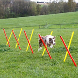 Agility Estesetti Complete 13 Osaa