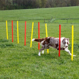 Agility Estesetti Complete 13 Osaa