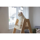 Kiipeilypuu Ladder