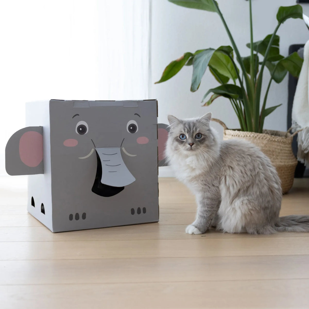 Raapimalaatikko Elefant
