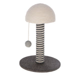 Raapimapuu Funghi