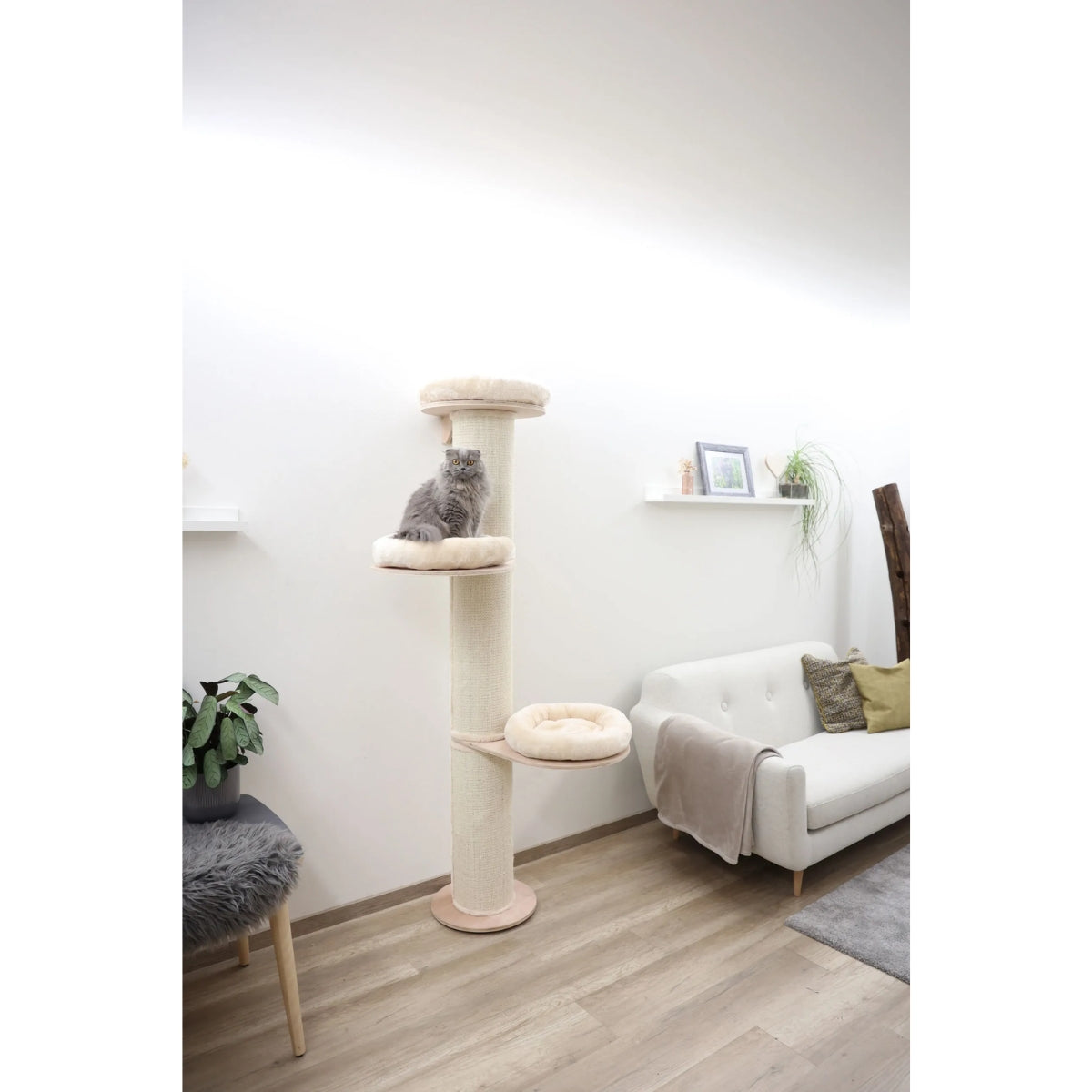 Raapimapuu Dolomit Tower