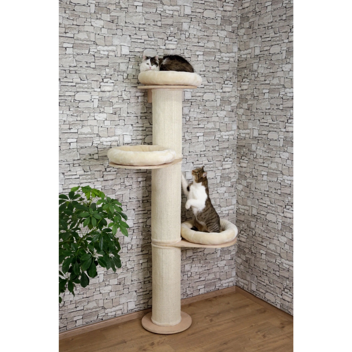 Raapimapuu Dolomit Tower