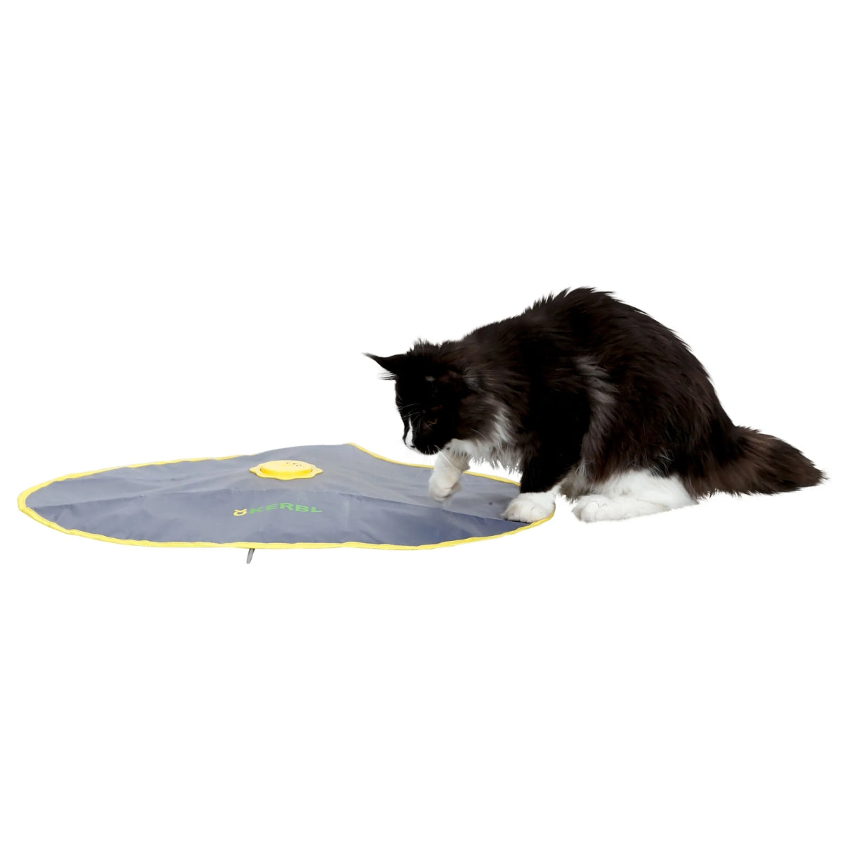 Aktivointilelu Catch A Feather 2in1