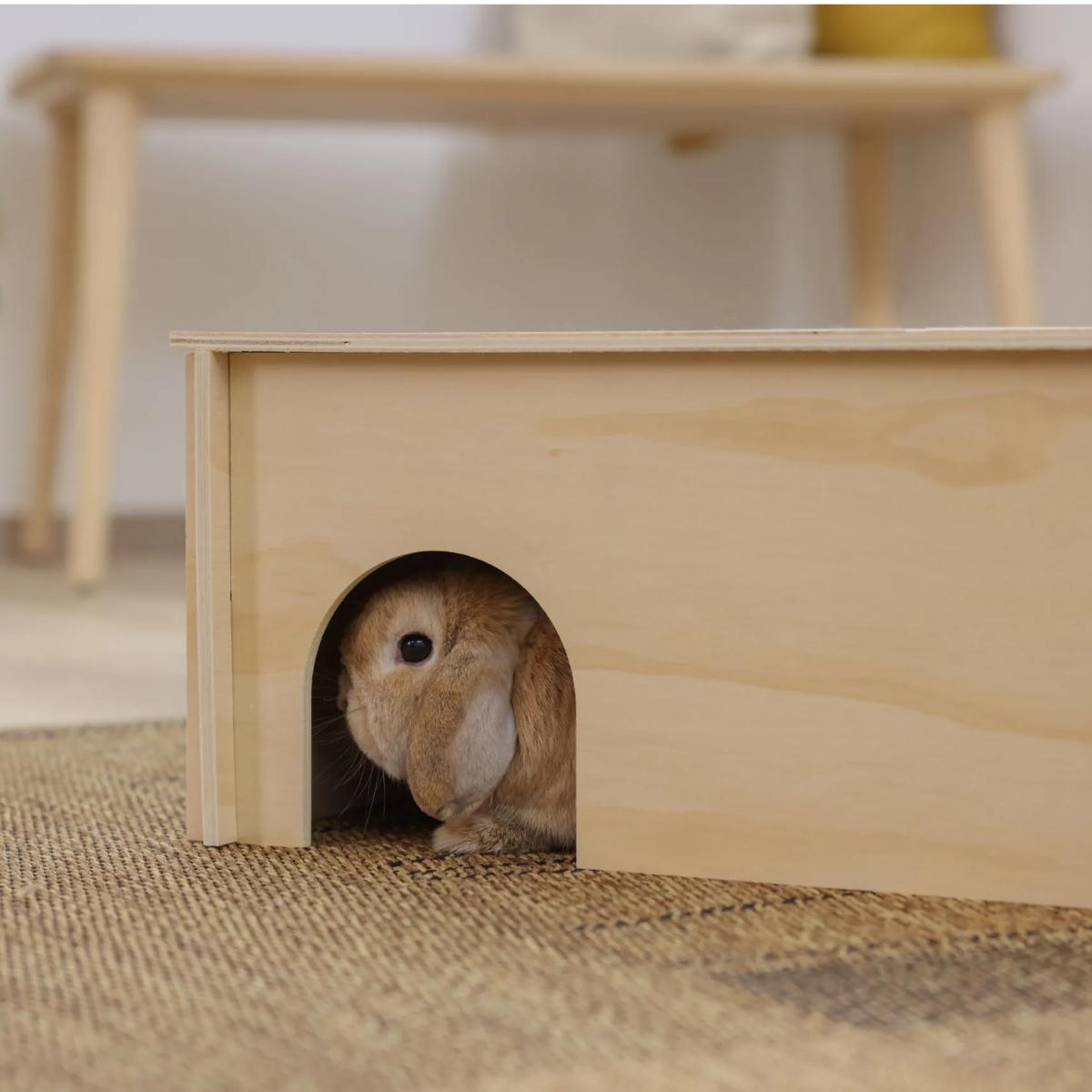 Rodent Cabin Natural