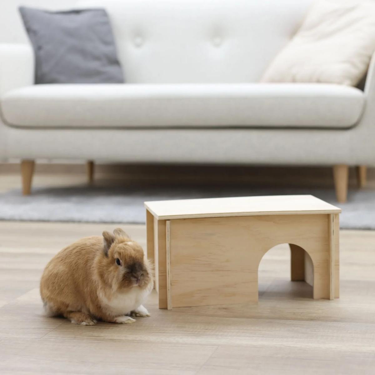 Rodent Cabin Natural
