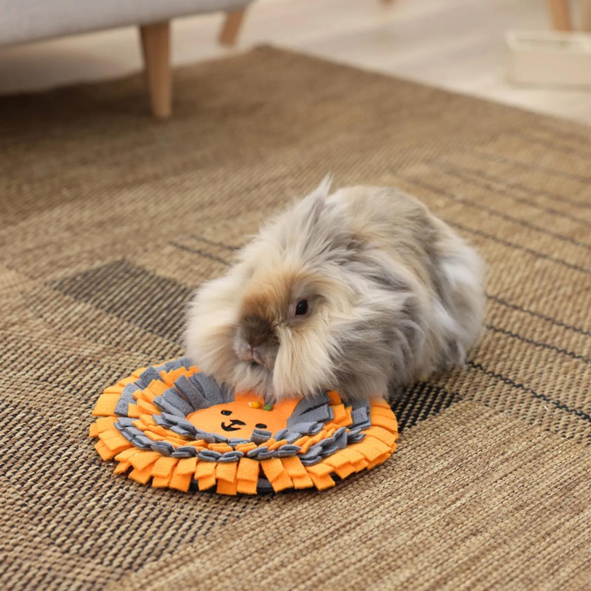 Kätkömatto Rabbit