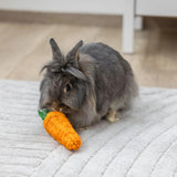 Lelu Sisal Carrot