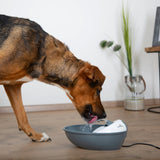 Juoma-automaatti Classic Pet Fountain