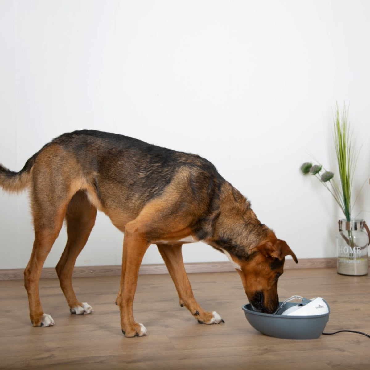 Juoma-automaatti Classic Pet Fountain