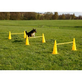 Agility Kartio/Este Setti 2-in-1