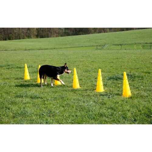 Agility Kartio/Este Setti 2-in-1