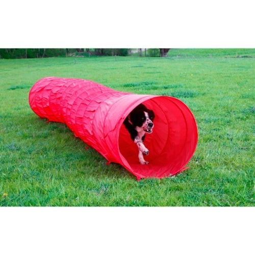 Agility Tunneli 5m