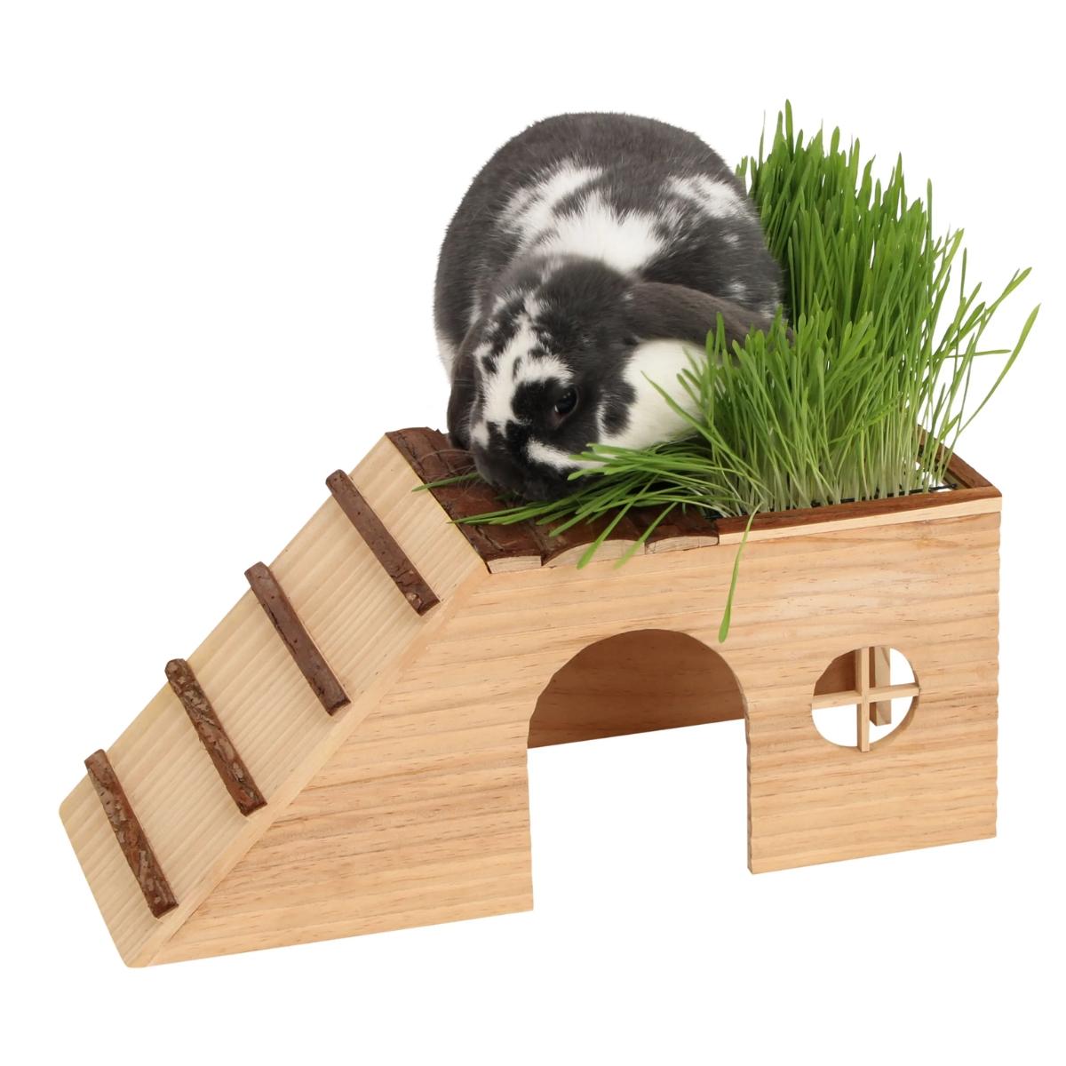 Pesämökki Kattopuutarhalla